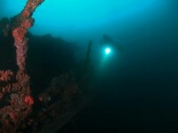 Descoperire controversată în aceanele Pământului. Ce creatură au găsit oamenii de știință în adâncuri