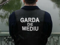 Garda de Mediu