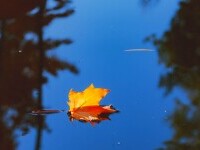 echinoctiul de toamna