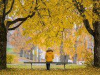 Vremea azi, 13 noiembrie. Toamnă frumoasă în toată țara. Ce temperaturi vor fi