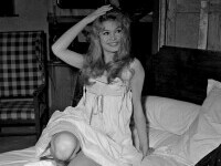 Brigitte Bardot