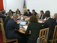 comisie, Parlament, Senat