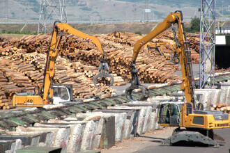 Cel mai mare exportator de lemn din România închide o fabrică și își reduce cu 30% operațiunile. Ce motive invocă