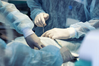 Doi rinichi de porc au fost transplantați unui om. Cine este pacientul