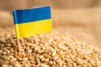 Oficial: Rusia a furat cel puțin 400.000 de tone de cereale din Ucraina, după invazie