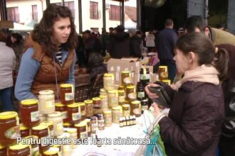 confesiunile unei dame de companie online subtitrat caut femei care cauta barbati codlea