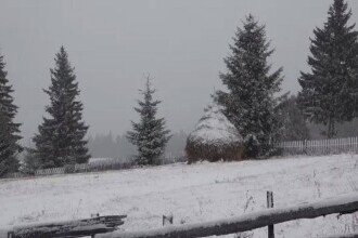 Vremea azi, 24 ianuarie. În ce zone va ninge