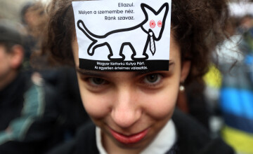 Cele mai ciudate partide de la alegerile europarlamentare: „Partidul câinelui cu două cozi” ori al „găinii malefice”