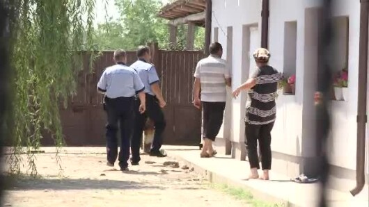 cautari caracal cautari caracal