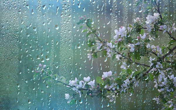 Vremea azi, 18 aprilie. Continuă să plouă în cea mai mare parte a țării, iar temperaturile scad sub valorile normale