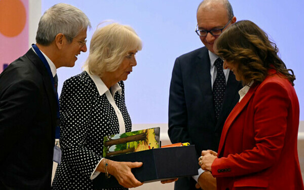 Regina Camilla şi regele Charles