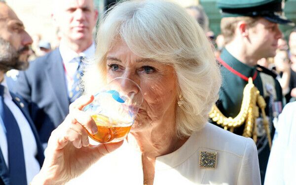 regele Charles şi regina Camilla