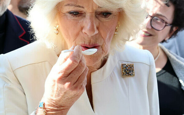 regele Charles şi regina Camilla