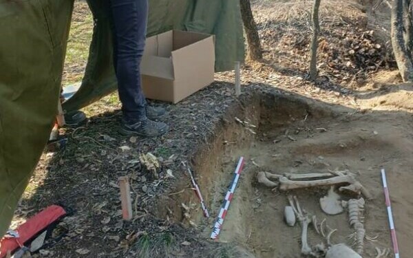 descoperire arheologica