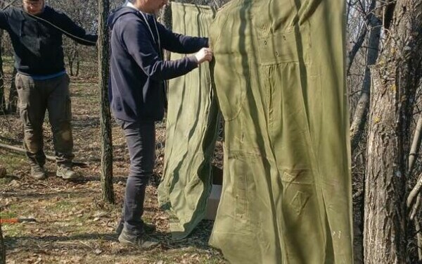 descoperire arheologica