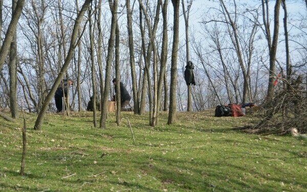 descoperire arheologica