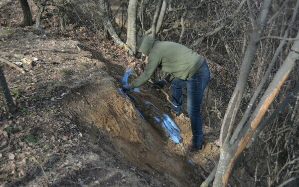 descoperire arheologica