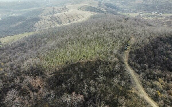 descoperire arheologica