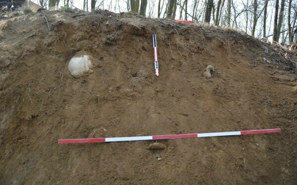 descoperire arheologica