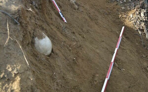 descoperire arheologica