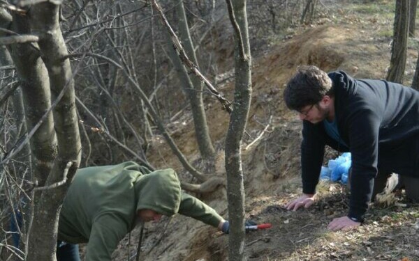 descoperire arheologica