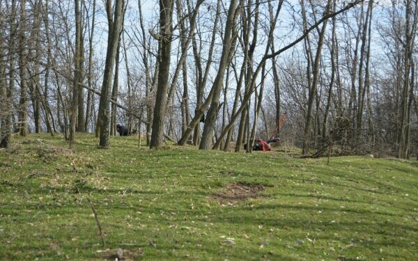 descoperire arheologica