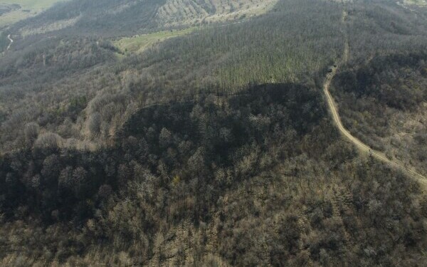 descoperire arheologica