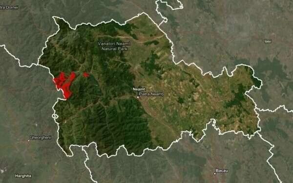 padure romsilva neamt