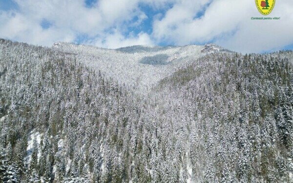 padure romsilva neamt