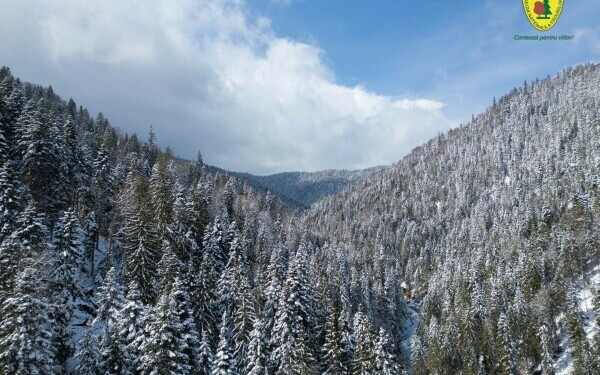 padure romsilva neamt