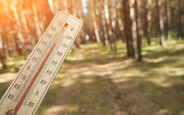 Vremea azi, 24 aprilie. Se încălzește în cea mai mare parte a țării. Maximele ajung la 24-25 de grade în unele regiuni