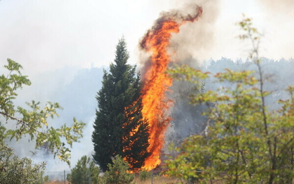 incendii grecia si turcia