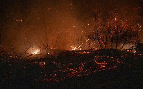 incendii grecia si turcia