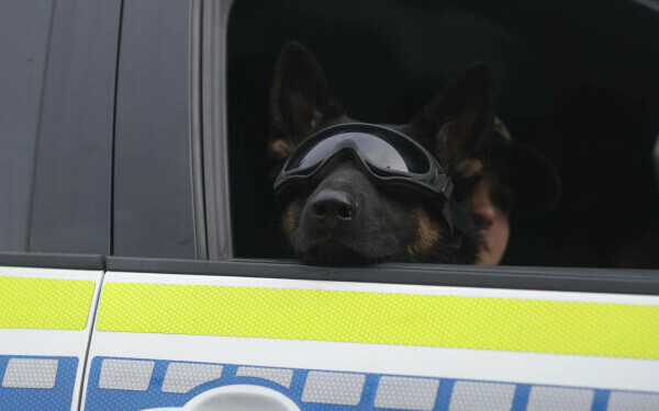 Parada de 1 Decembrie 2025