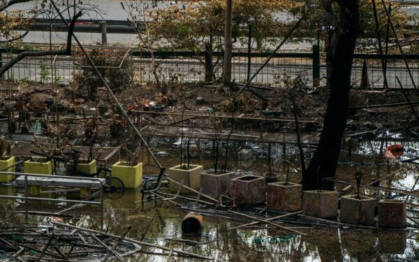 incendiu honk kong urmari