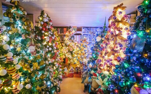 cuplu brazi germania