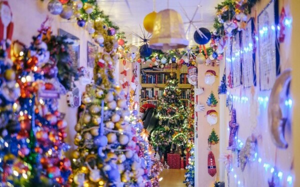 cuplu brazi germania