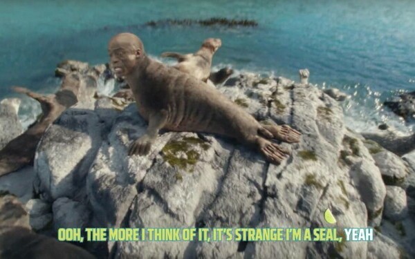 Seal reclama