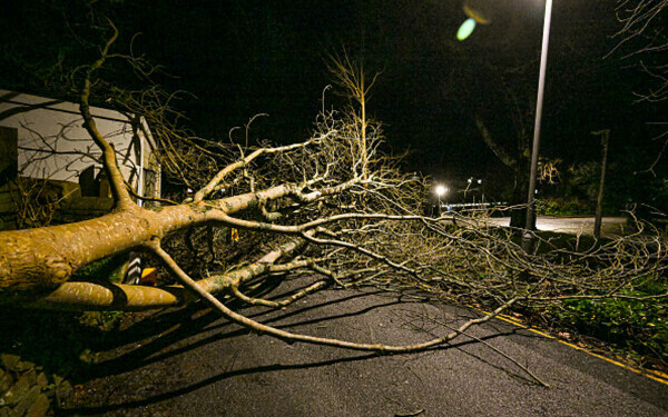 Franța, lovită de furtuna Goretti