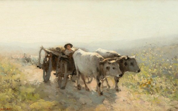 colectia de arta valcov