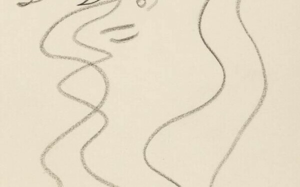 colectia de arta valcov