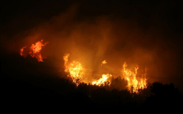 incendii grecia