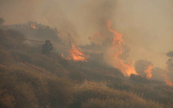incendii grecia
