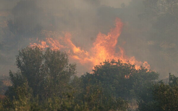 incendii grecia