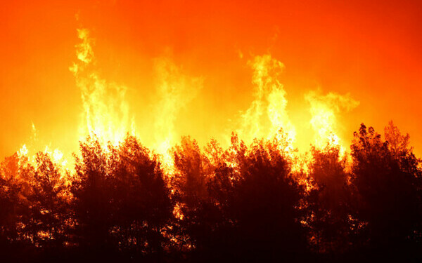 Turcia, împărțită între incendii de vegetaţie și ninsori