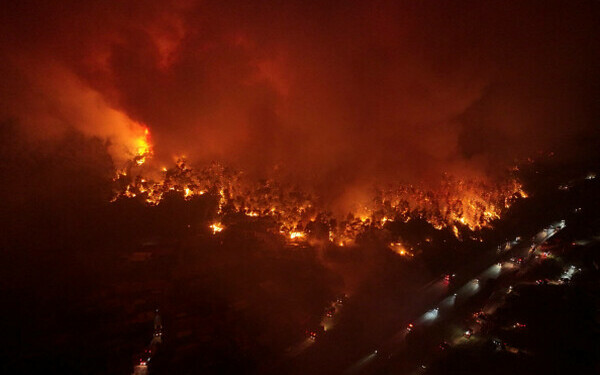 Turcia, împărțită între incendii de vegetaţie și ninsori