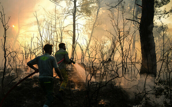 Turcia, împărțită între incendii de vegetaţie și ninsori