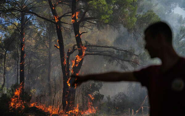 Turcia, împărțită între incendii de vegetaţie și ninsori