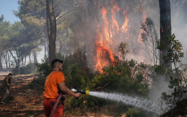 Turcia, împărțită între incendii de vegetaţie și ninsori