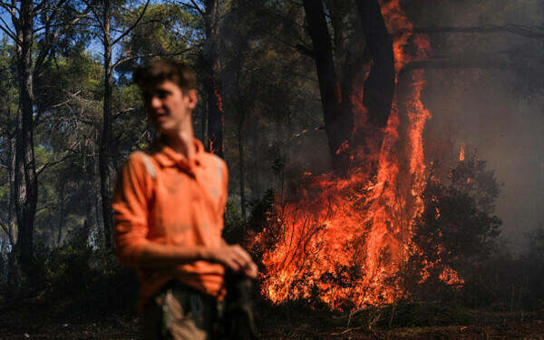 Turcia, împărțită între incendii de vegetaţie și ninsori